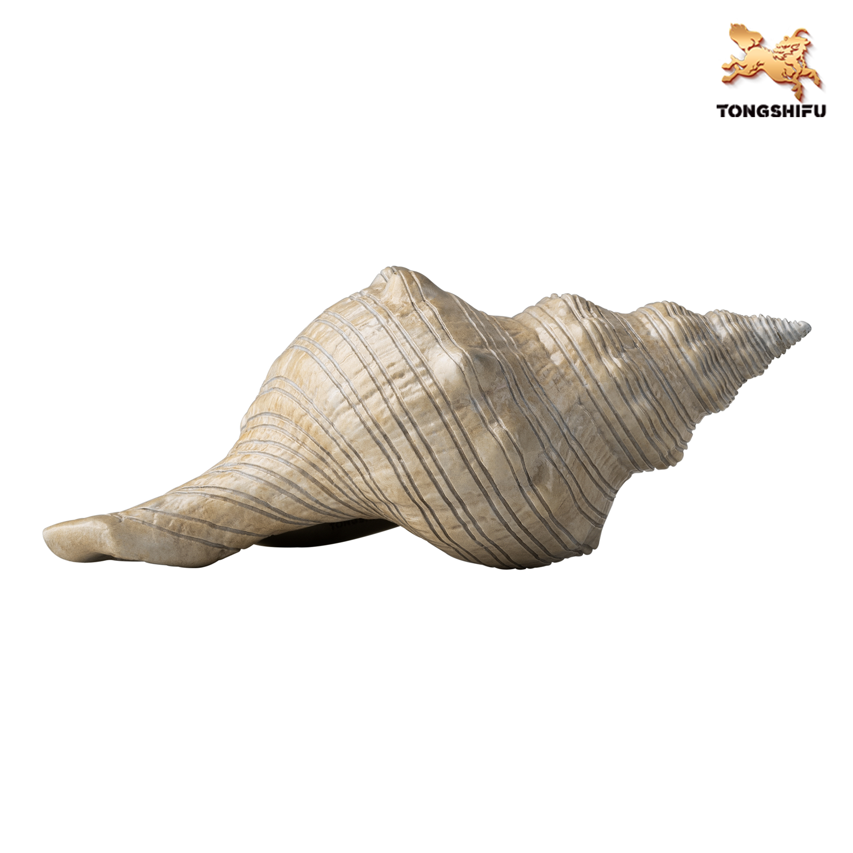 CONCH C