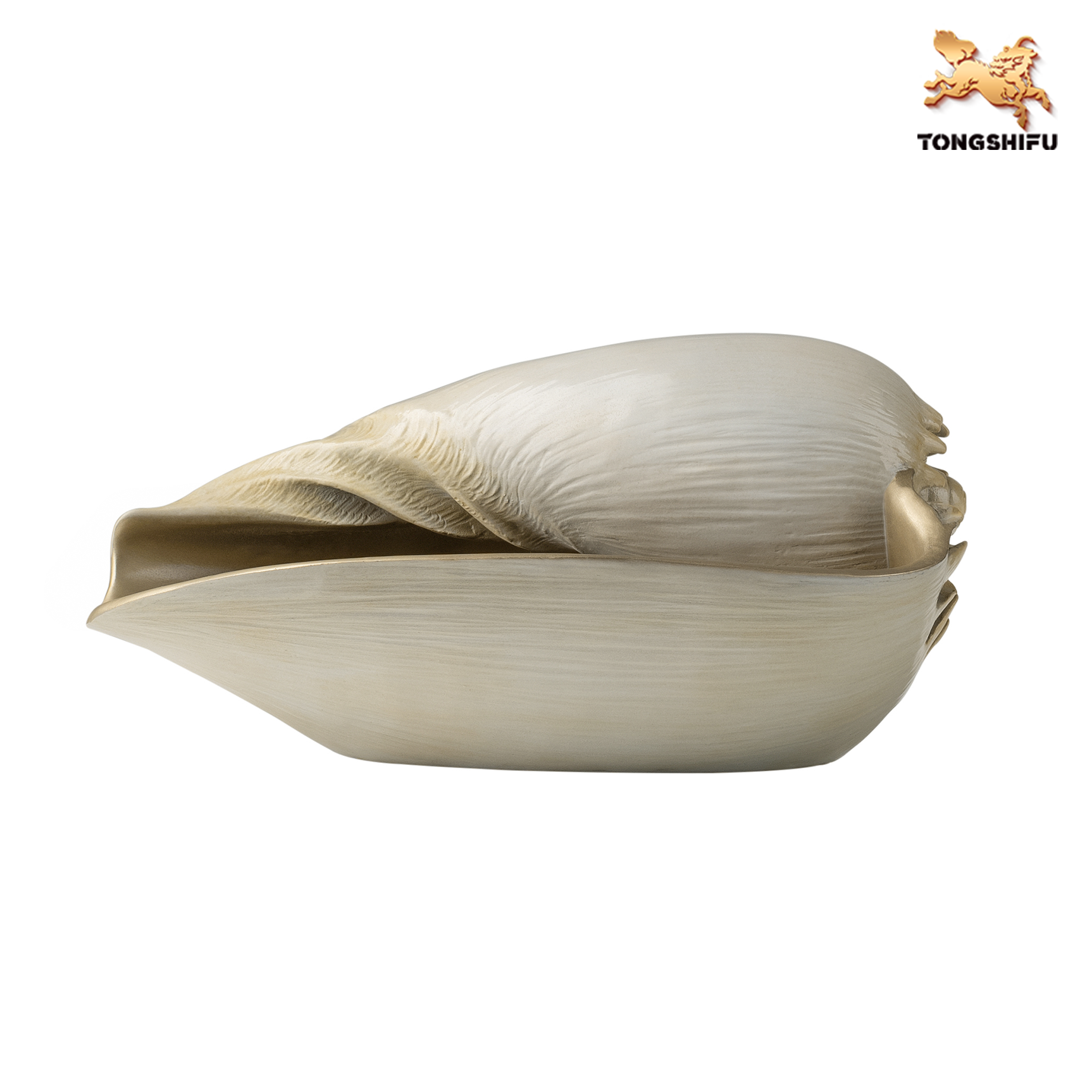 CONCH D