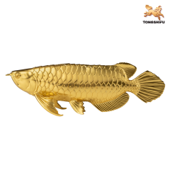 GOLD AROWANA