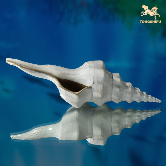 CONCH A