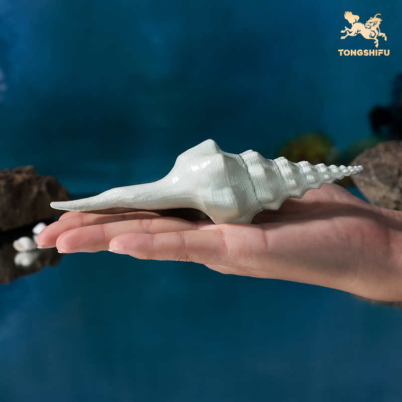 CONCH A