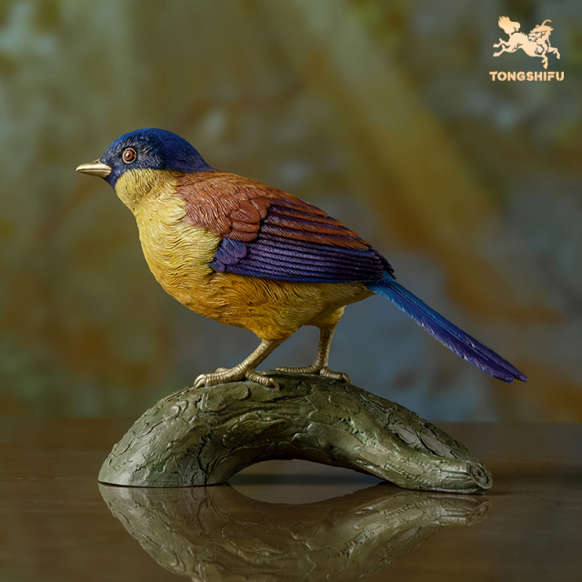 BLUE-CROWNED LAUGHINGTHRUSH