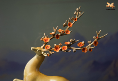 The Sika Deer