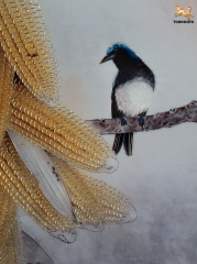 THE HARVESTED CORN