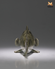 THE FISH