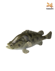 THE FISH
