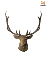 THE DEER HEAD WALL DECORATION