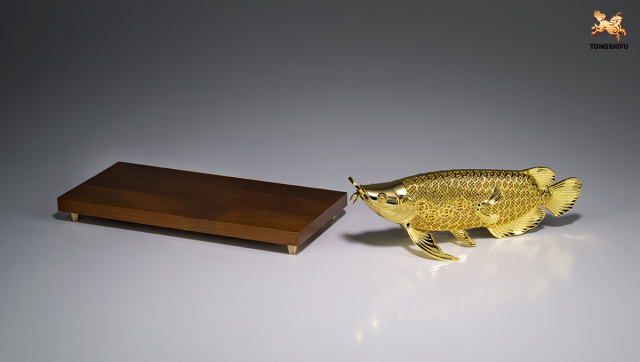 THE AROWANA  FISH