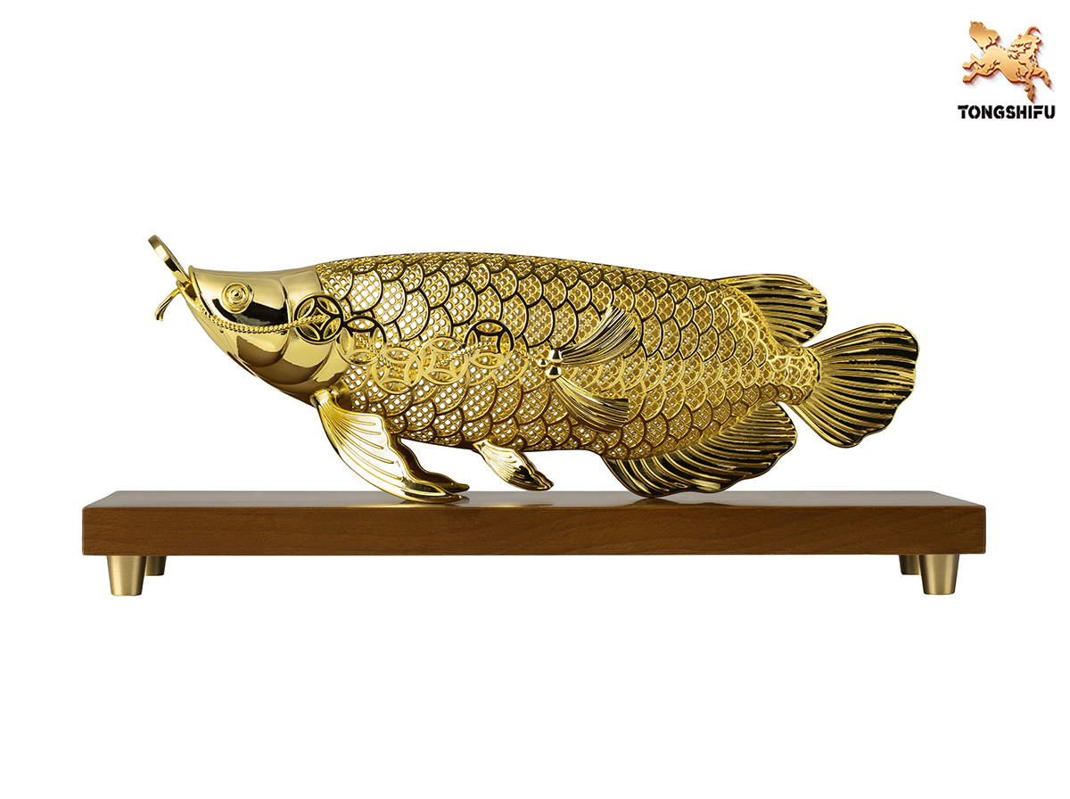 THE AROWANA  FISH