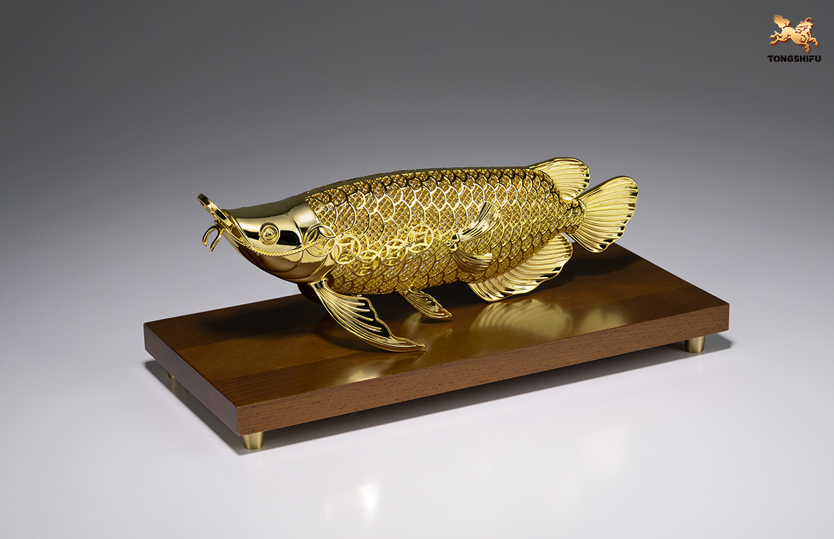 THE AROWANA  FISH