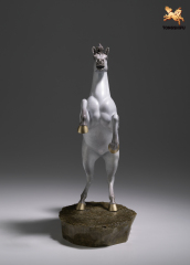 THE  ARABIAN HORSE