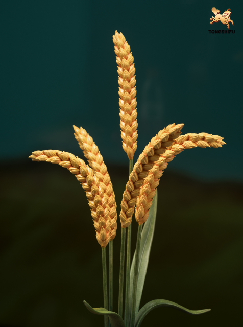 THE HARVEST