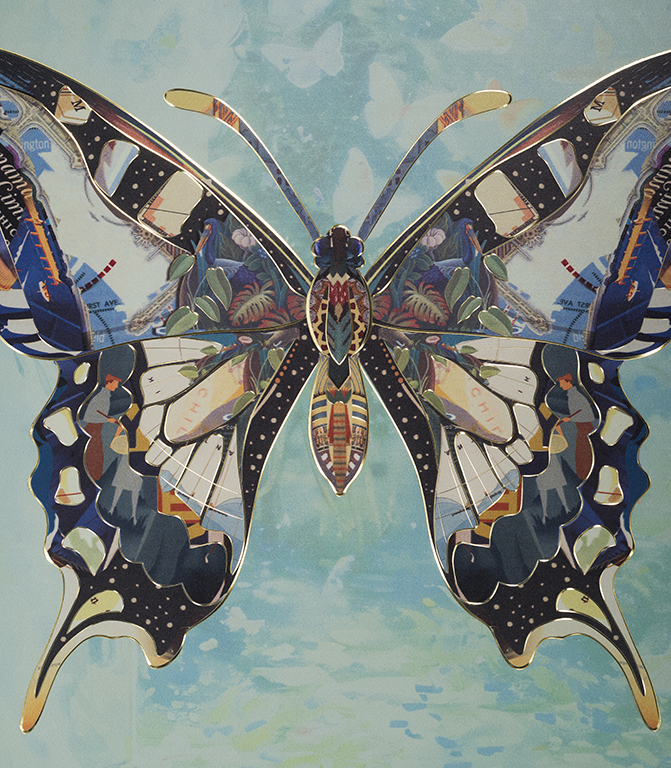 COLORFUL CLOUD BUTTERFLY