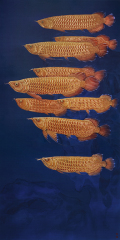 GOLDEN AROWANA