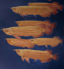 GOLDEN AROWANA
