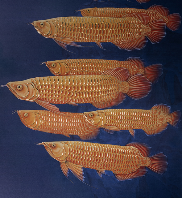 GOLDEN AROWANA