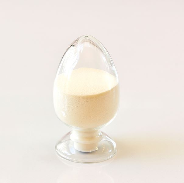 Empty Hard Capsule