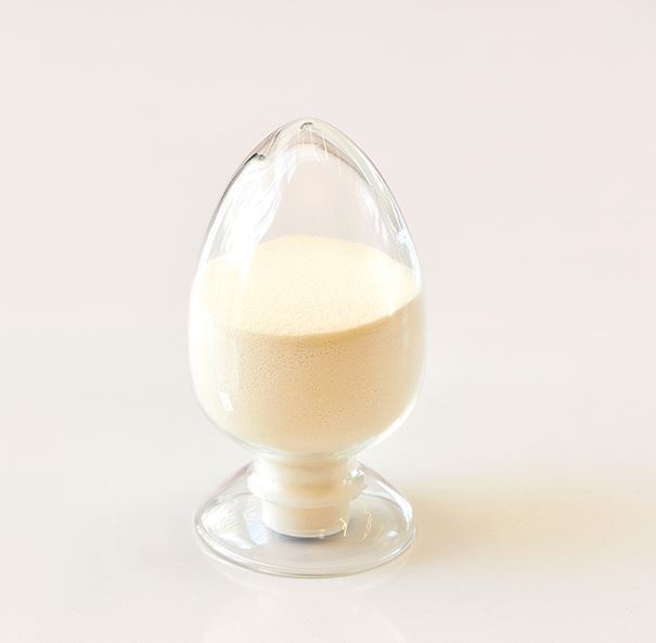 Empty Hard Capsule