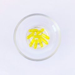 Empty Hard Capsule