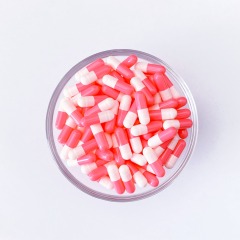 Empty Hard Capsule