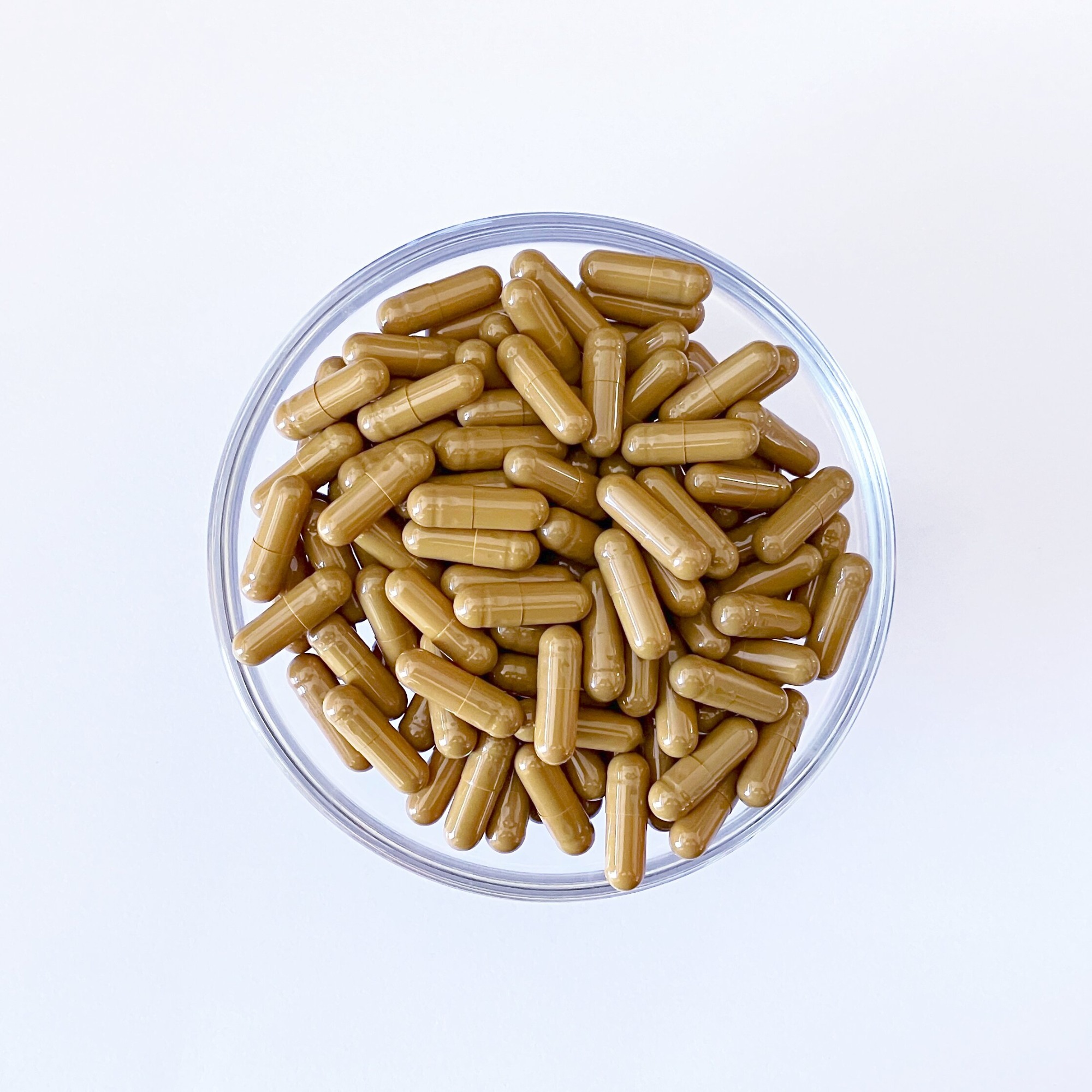 Empty Hard Capsule