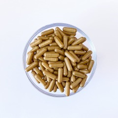 Empty Hard Capsule