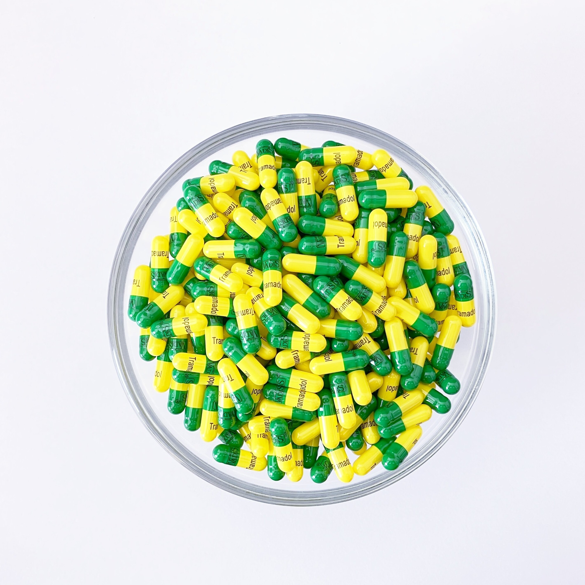 Empty Hard Capsule