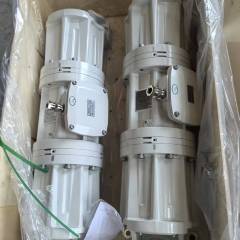 Custom SGX motor replacement,Premium Oil,Custom SGX motor replacement