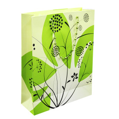 Fashionable-Dress-Paper-Gift-Bag