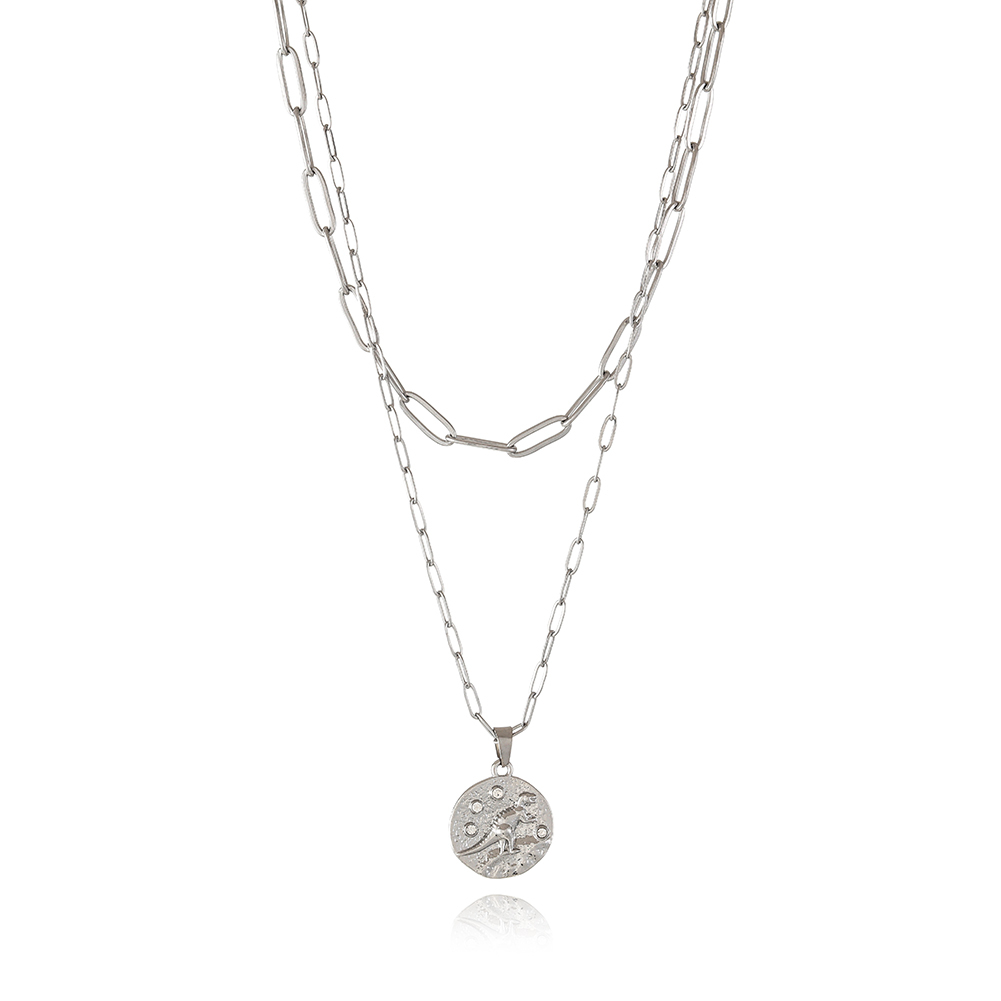 Cute Double layer necklace