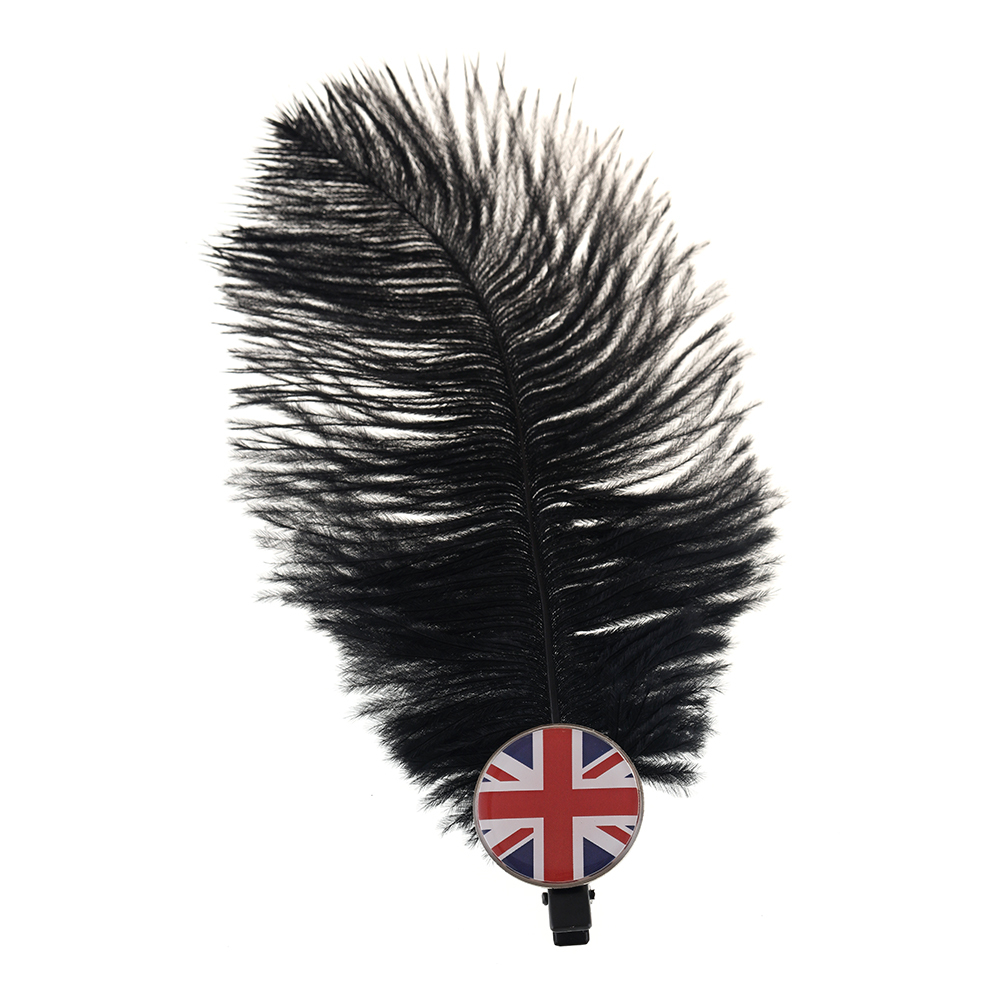 Feather Hair Clip