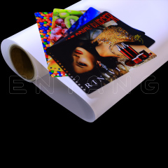 PET Backlit Matte Film