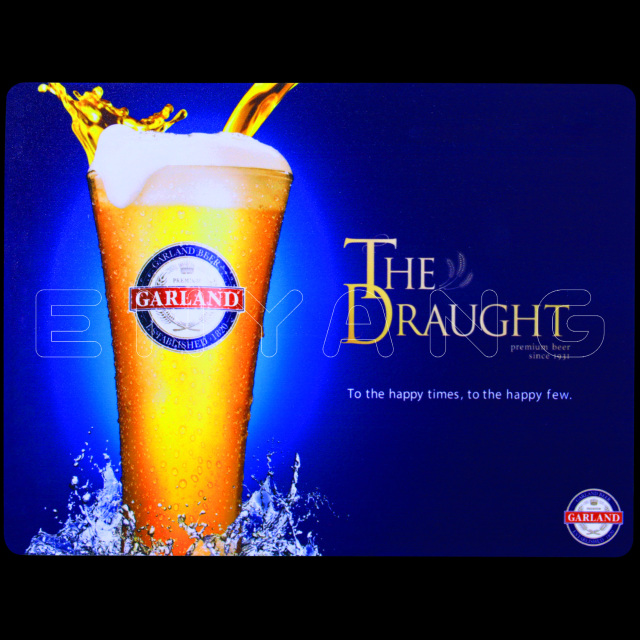 PET Backlit Matte Film