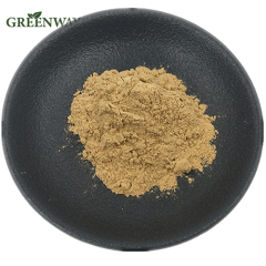 Sea Buckthorn Powder