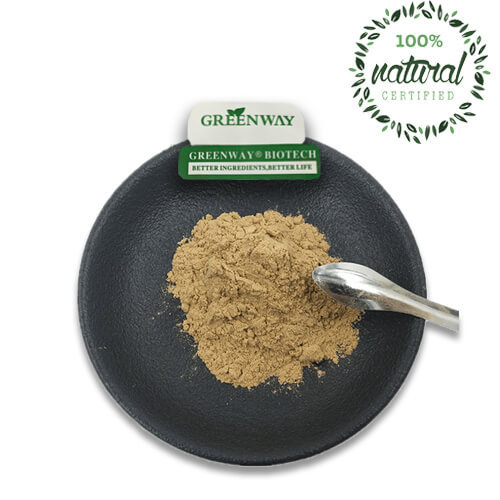 Mushoom Powder