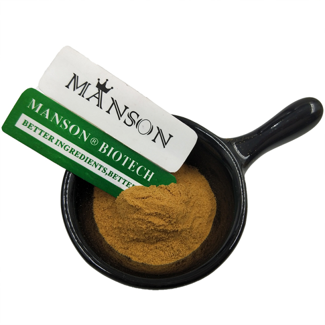 Bacopa Monnieri Extract