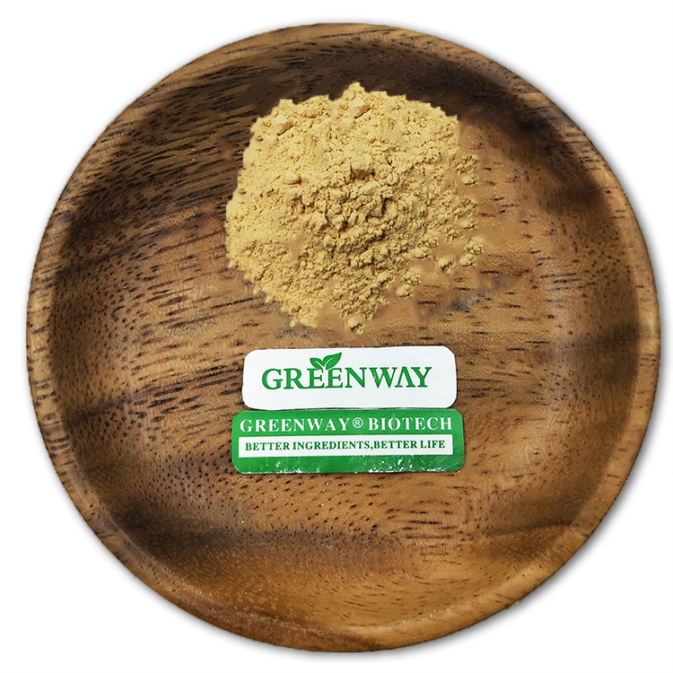 Chaga Mushroom Extract