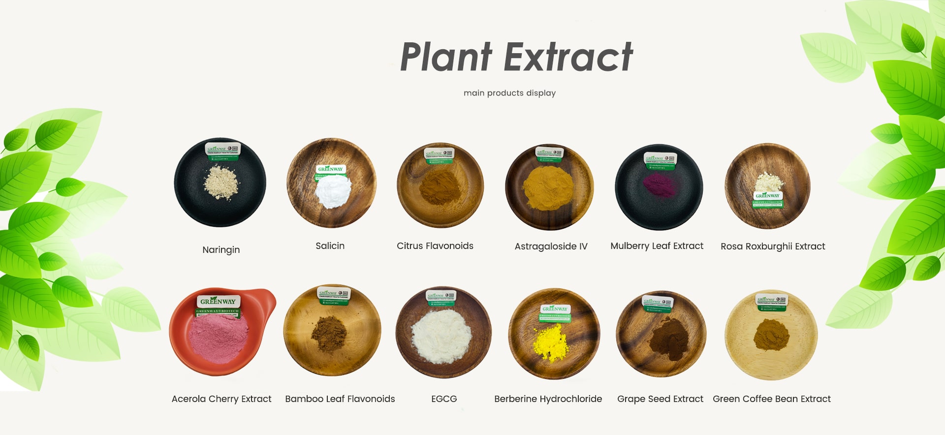 Fornecimento de pós de extrato vegetal | Suzhou Greenway Biotech