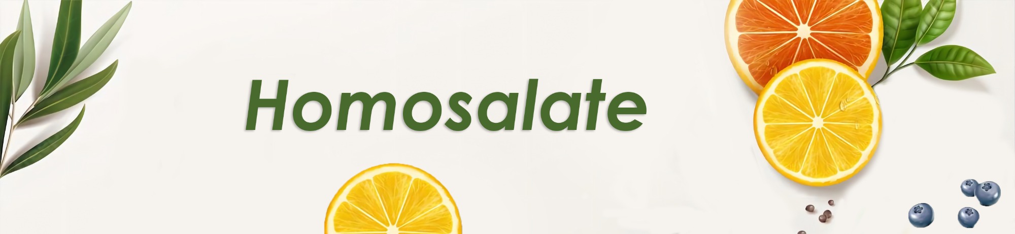 Homosalate Supplier - Greenway