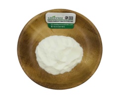 Sclerotium Gum
