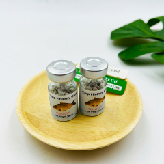 Glande pituitaire de carpe