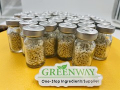 Glande pituitaire de carpe