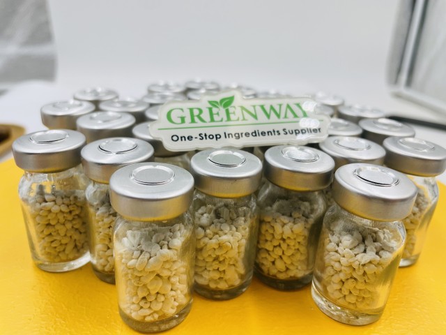 Glande pituitaire de carpe