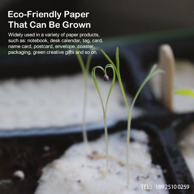 Eco-friendly Plantable Seed Notebook | CUPPAD