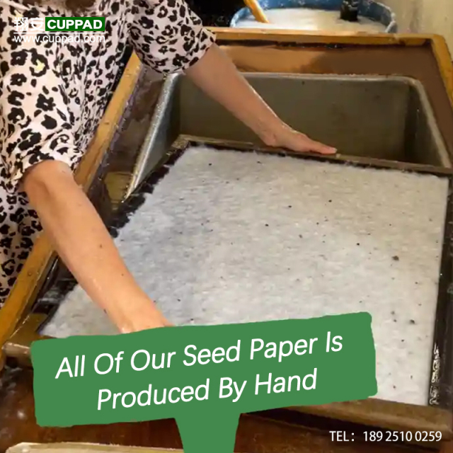 定制可种植生态纸感谢卡种子纸卡片 | 翔安种子纸