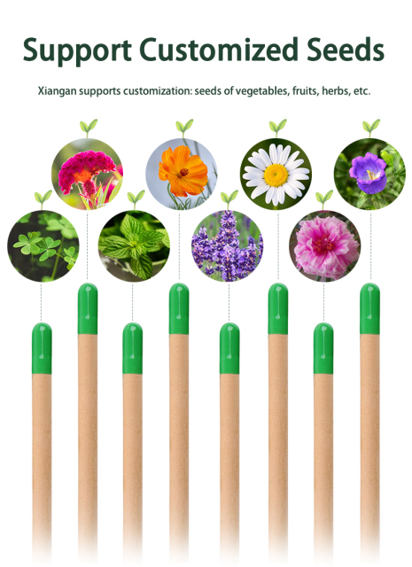 定制玫瑰种子植物铅笔可发芽可种植的生态创意萌芽铅笔文具订做