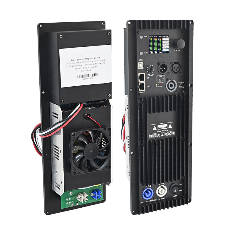 DM10 Plate Audio Amplifier 900W*2CH Active Digital DSP Active Module for Line Array