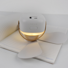 Portable rechargeable multifunctional ceiling fan fan light