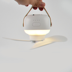 Portable rechargeable multifunctional ceiling fan fan light