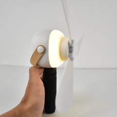 Portable rechargeable multifunctional ceiling fan fan light